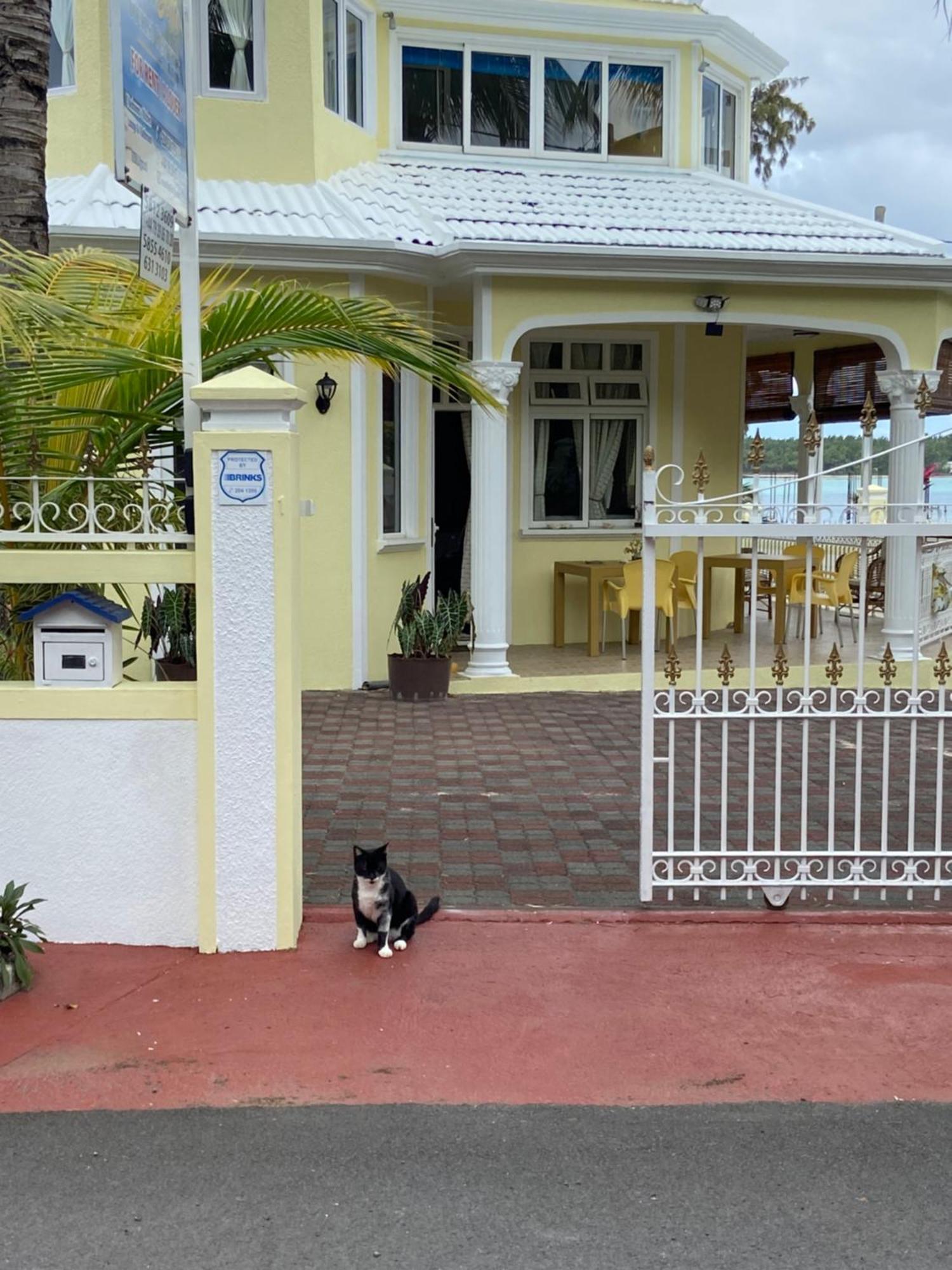 Villa Bella Charming Beachfront Guesthouse 蓝海湾 外观 照片